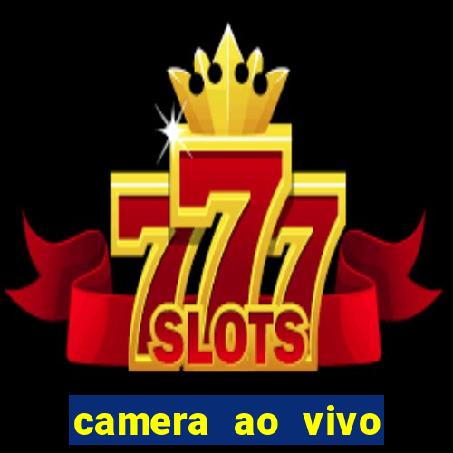 camera ao vivo porto de galinhas